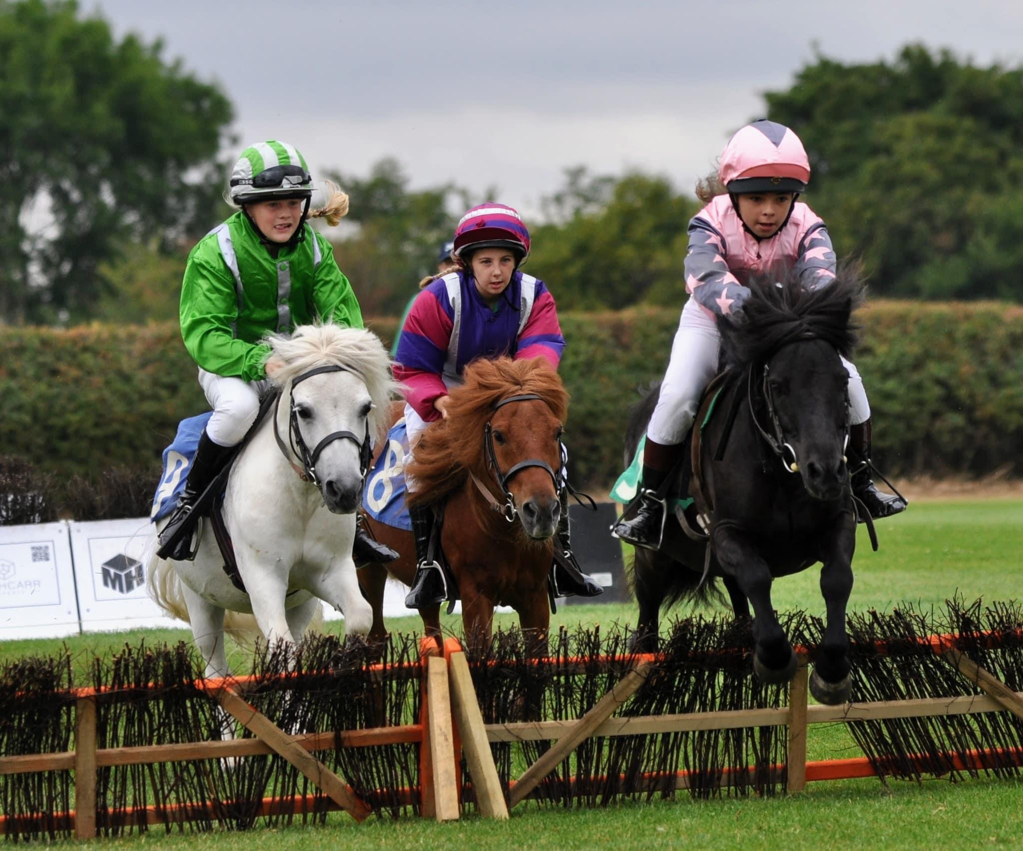 Somerset County Show West Somerset and Taunton Events